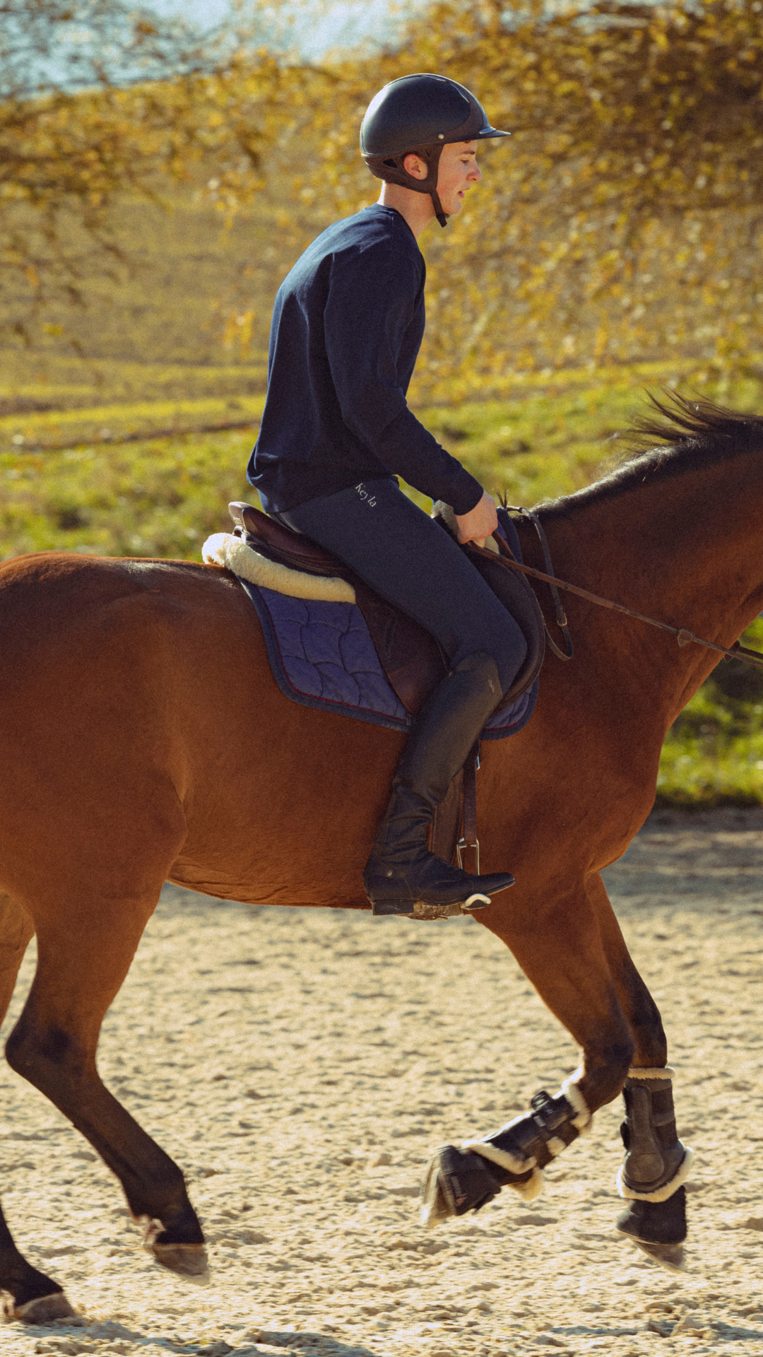 CLINTON - SWEAT BLEU MARINE