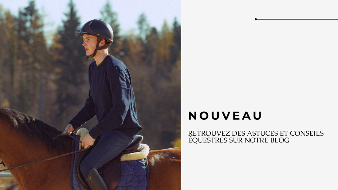 PREMIER ARTICLE DE BLOG