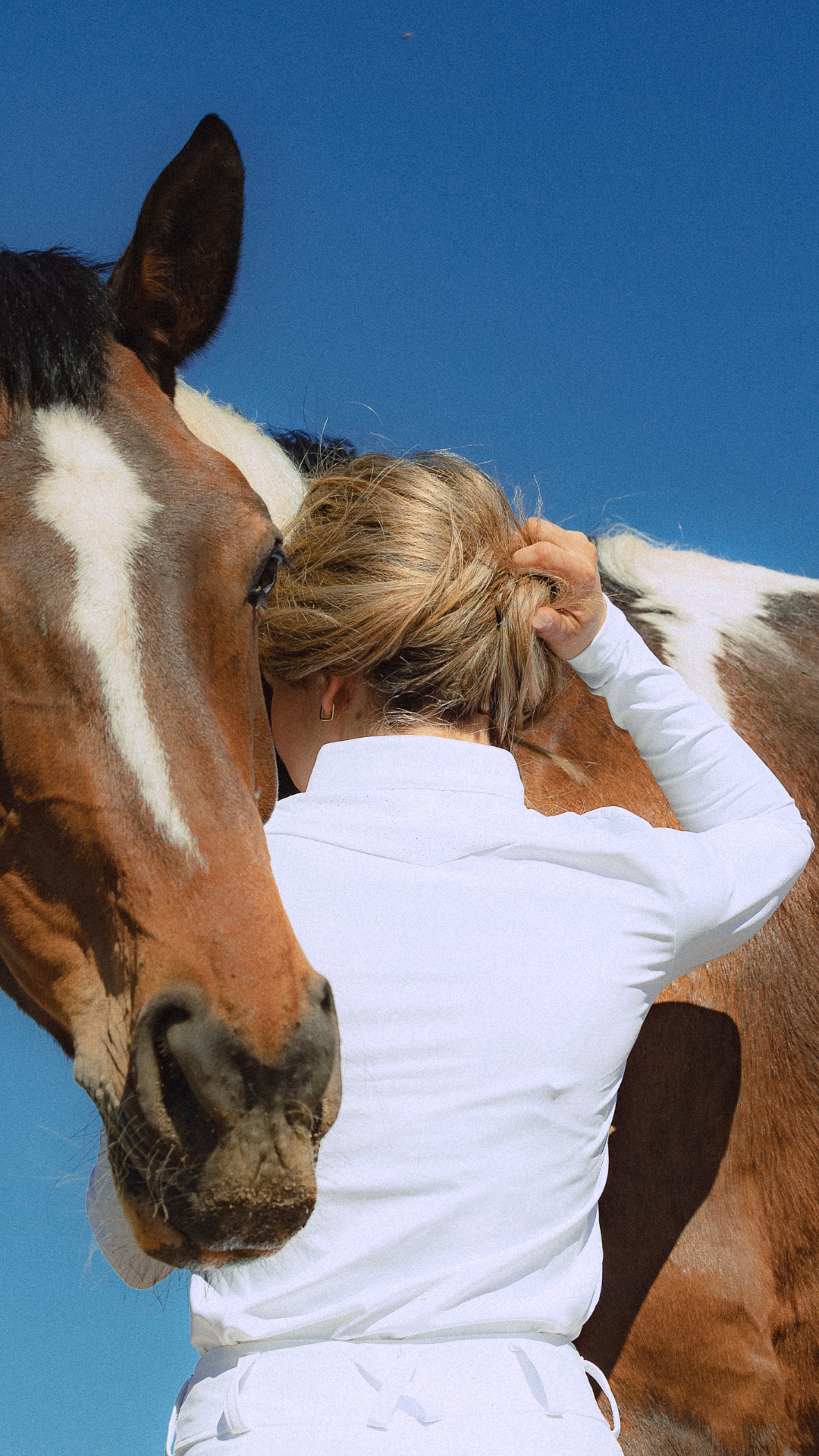 LILA -  CHEMISE DE CONCOURS MANCHES LONGUES BLANC